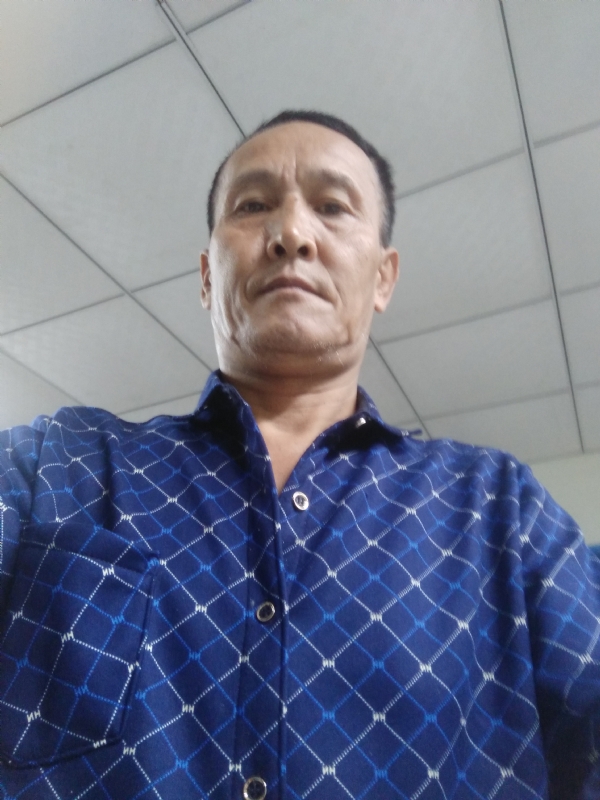 老树的第二张照片--周宁征婚网