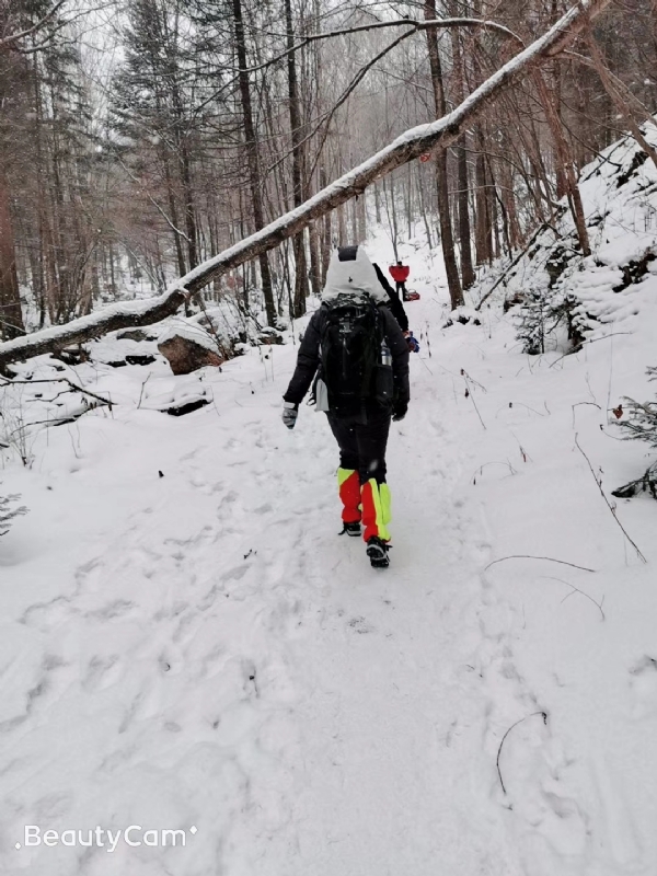 栀子花的第一张照片--周宁征婚网