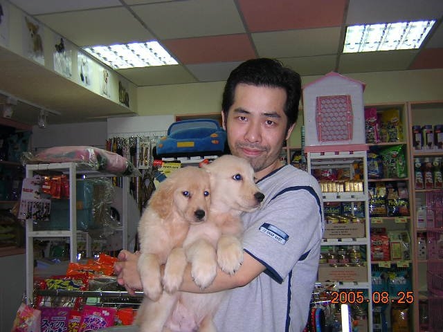 陈道明的第六张照片--周宁征婚网