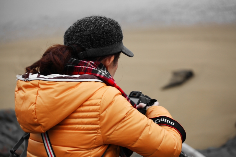 等待2023的第一张照片--周宁征婚网